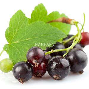 Blackcurrant Genie Juice E-Liquid