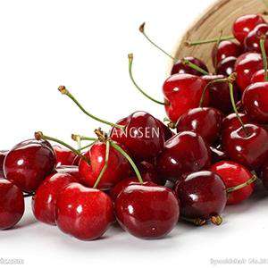 Cherry Genie Juice Eliquid UK