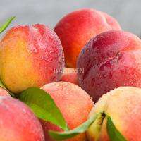 juicy peach genie juice eliquid uk