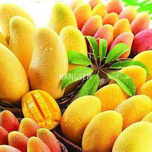 Mango Genie Juice E-Liquid 10ml