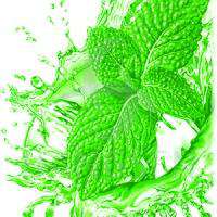 mint genie juice eliquid