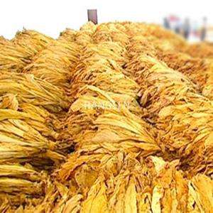 rainbow genie juice eliquid 