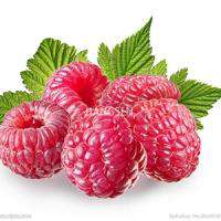 raspberry genie juice eliquid 