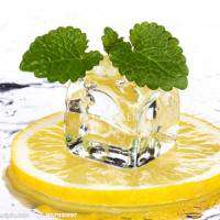 spearmint genie juice eliquid