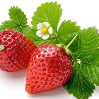 Strawberry Genie Juice Eliquid