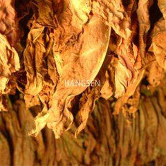 tobacco tincture TINCTURE: Panama Red ULTRA STRENGTH | MCT OIL