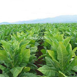 USA mix genie juice eliquid 