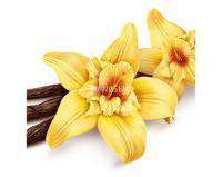 vanilla genie juice eliquid