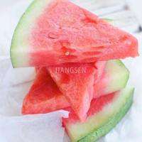 watermelon genie juice eliquid